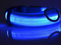 LED Dog Collar - Night Safety Collar