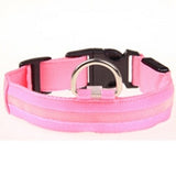LED Dog Collar - Night Safety Collar V1.0 (Not Used)